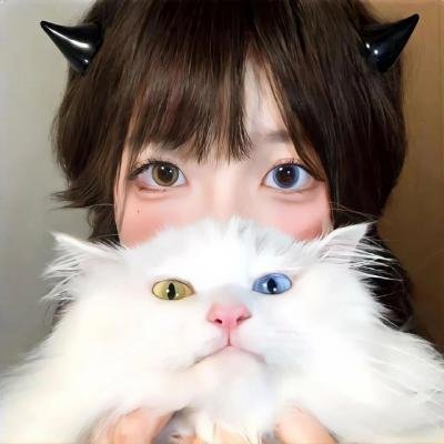 猪猪侠之囧囧危机